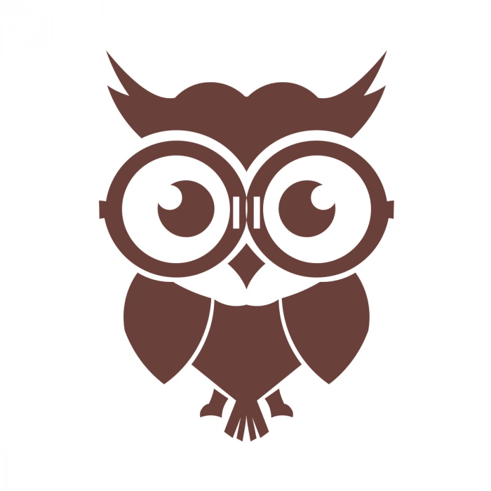 Sevimli Baykuş Sticker 17x17 Cm Kahverengi