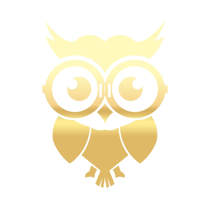 Sevimli Baykuş Sticker 17x17 Cm Gold
