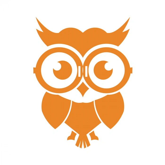 Sevimli Baykuş Sticker 17x17 Cm Turuncu