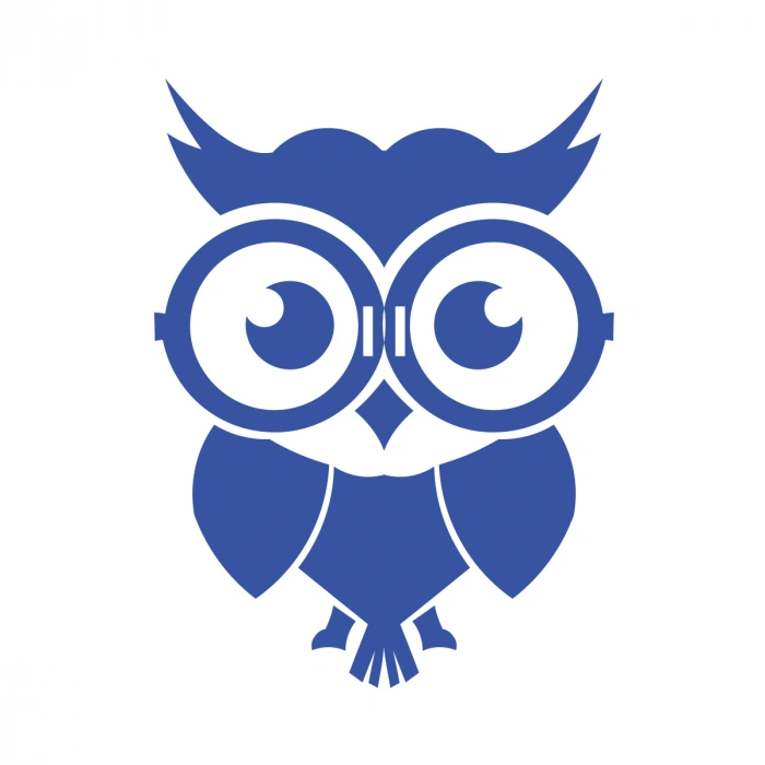 Sevimli Baykuş Sticker 17x17 Cm Mavi