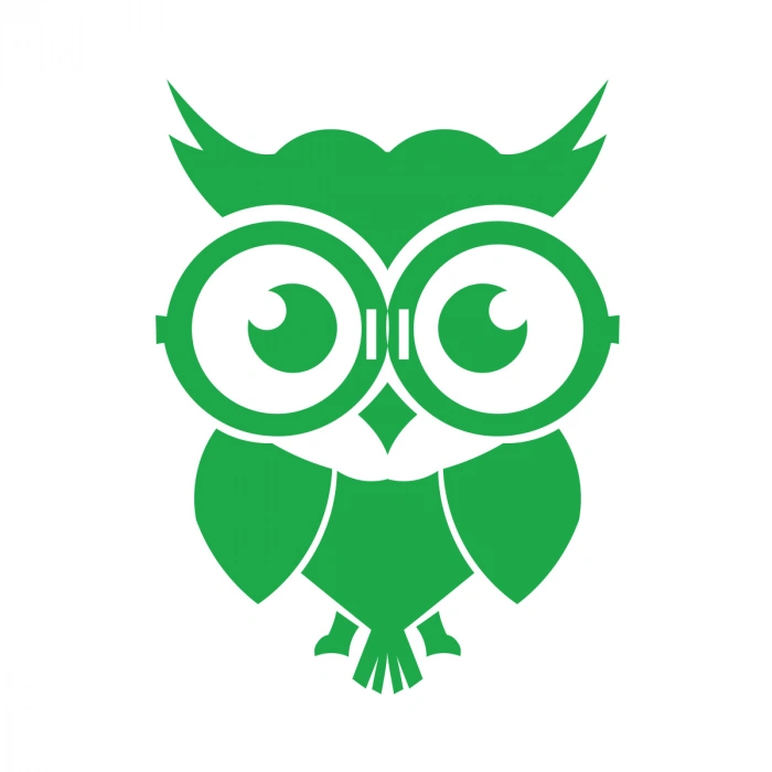 Sevimli Baykuş Sticker 17x17 Cm Yeşil