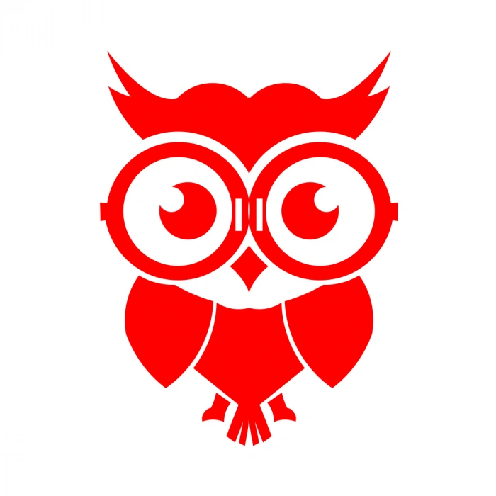 Sevimli Baykuş Sticker 17x17 Cm Kırmızı