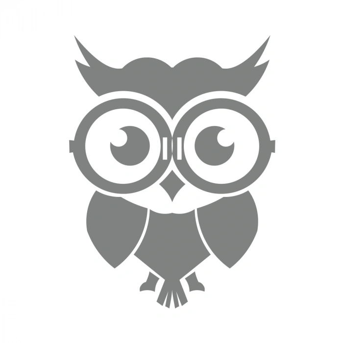 Sevimli Baykuş Sticker 17x17 Cm Gri