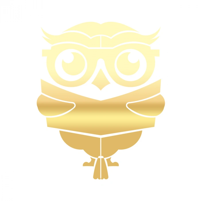 Kitap Okuyan Baykuş Sticker 17x17 Cm Gold