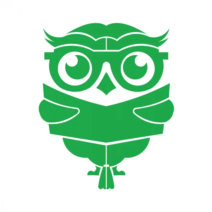 Kitap Okuyan Baykuş Sticker 17x17 Cm Yeşil