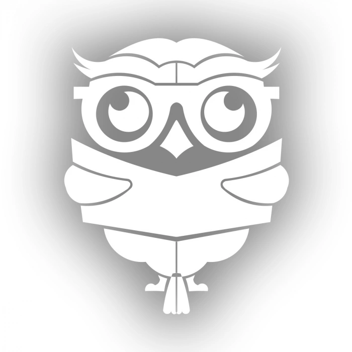 Kitap Okuyan Baykuş Sticker 17x17 Cm Beyaz