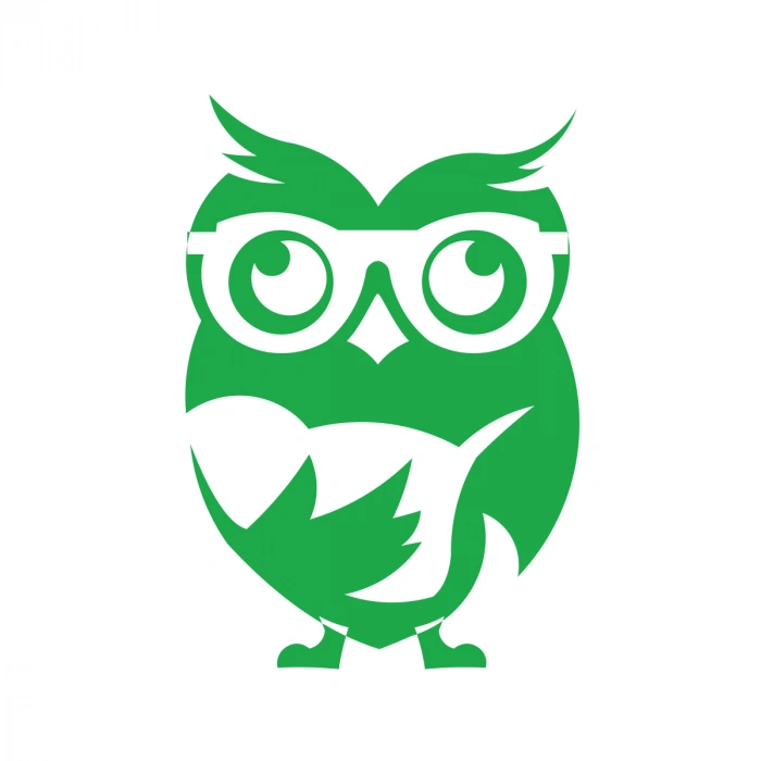 Kitap Okuyan Baykuş Sticker 17x17 Cm Yeşil