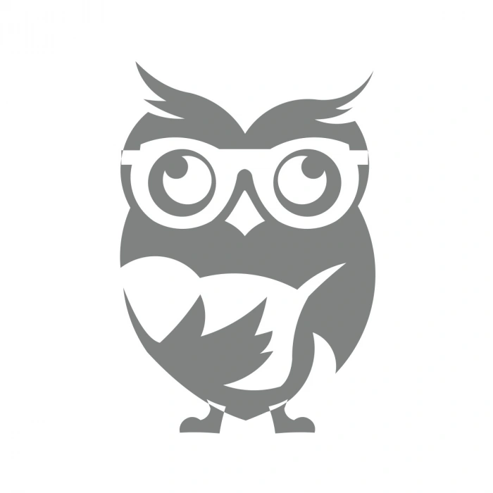 Kitap Okuyan Baykuş Sticker 17x17 Cm Gri