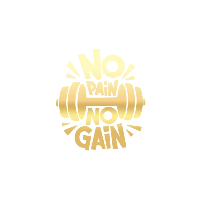 No Pai No Gain GYM Sticker 17x17 Cm Gold