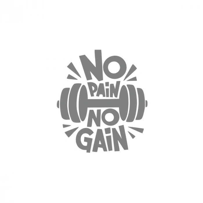 No Pai No Gain GYM Sticker 17x17 Cm Gri