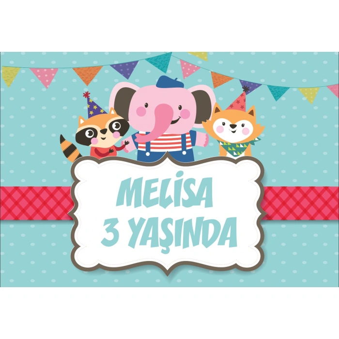 Sevimli Hayvanlar Temalı Doğum Günü Afişi - 100x150 Cm