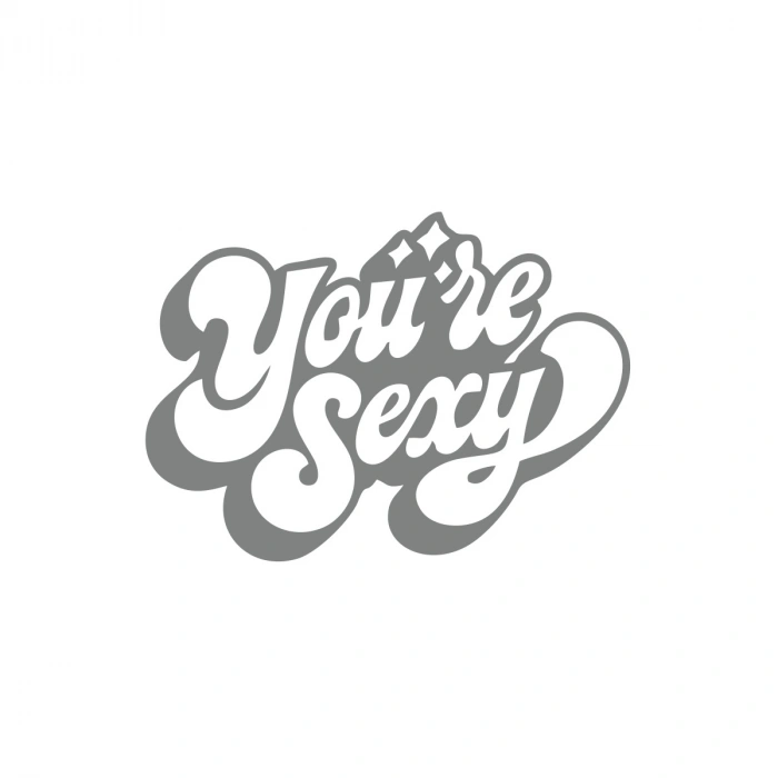 Youre S*xy Sticker 17x17 Cm Gri