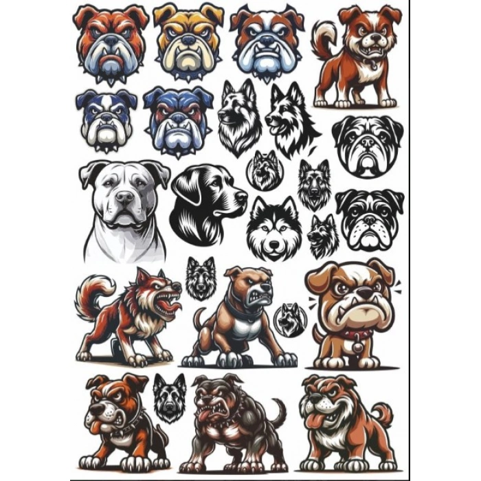 Köpek Bull Dog Sticker Set