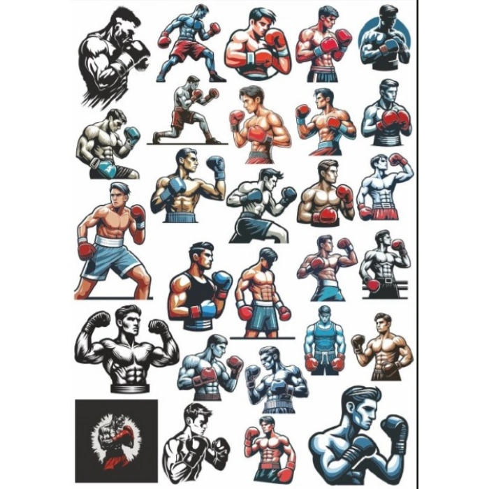 Dövüşçü Boksör Sticker Set