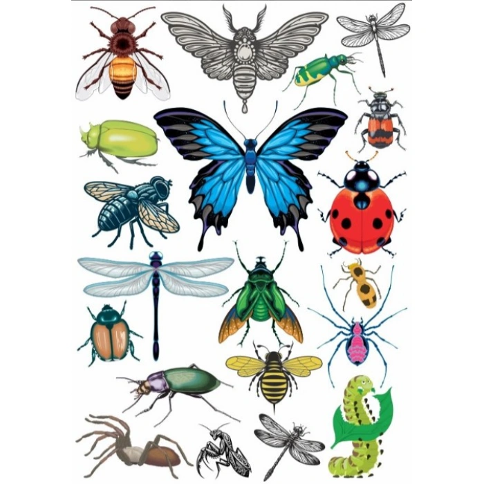 Kelebekler Sticker Set