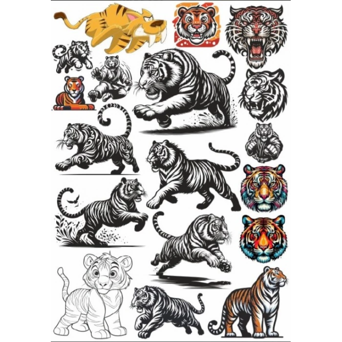 Kaplan Sticker Set 2