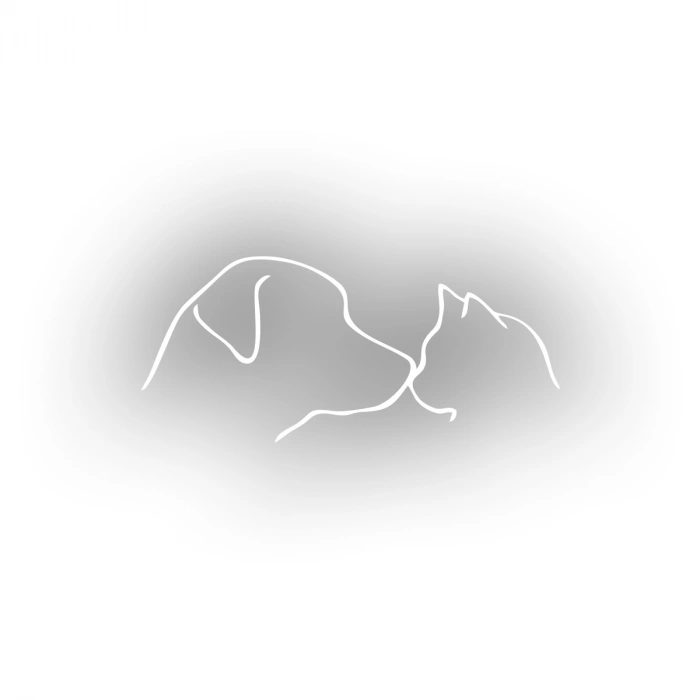 Kedi ve Köpek Sticker 17x17 Cm Beyaz