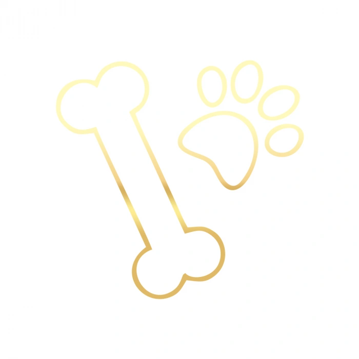 pati ve Kemik Sticker 17x17 Cm Gold