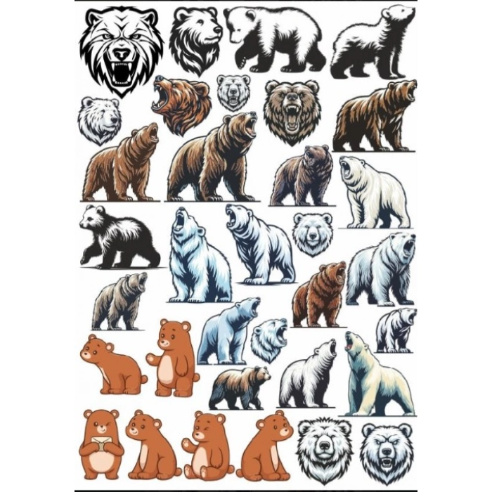 Ayı Sticker Set