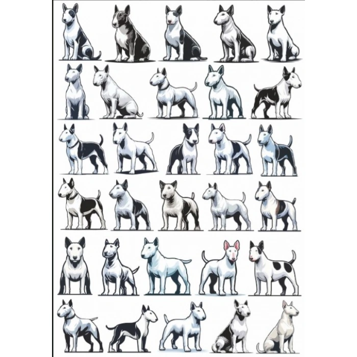 Köpek Sticker Set