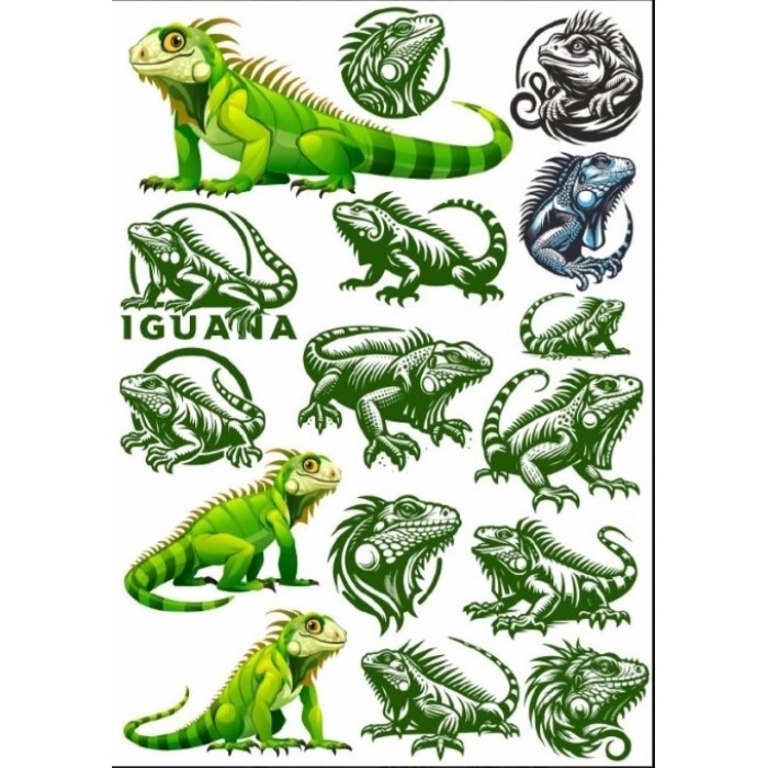 İguana Sticker Set