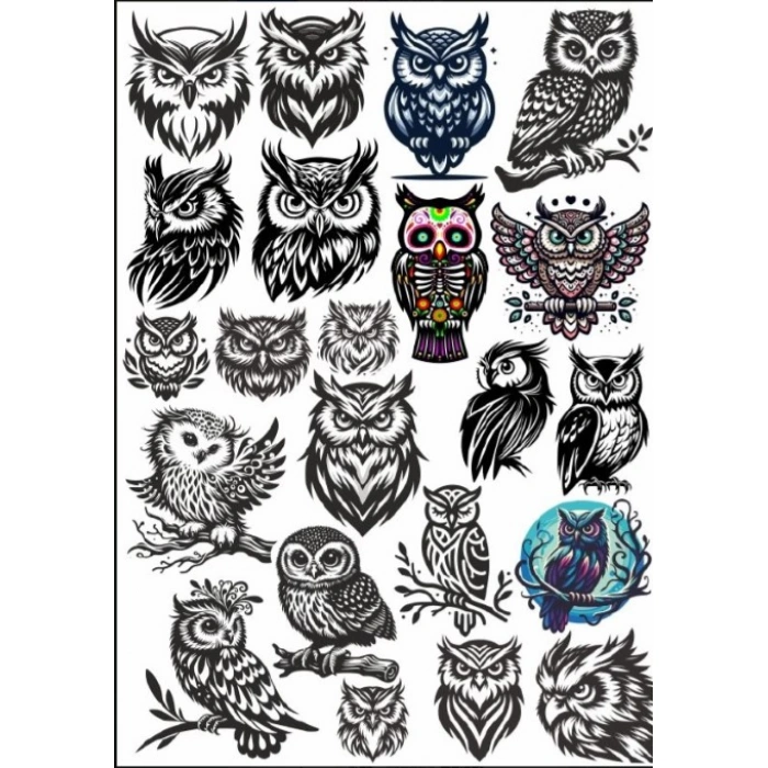 Baykuş Sticker Set