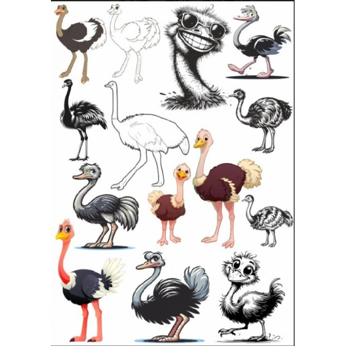 Deve Kuşu Sticker Set