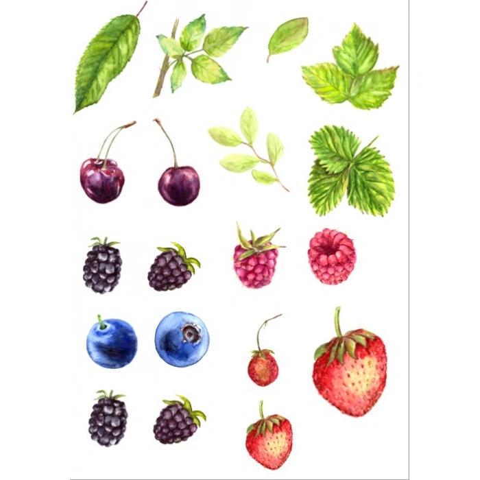 Meyveler Sticker SEt