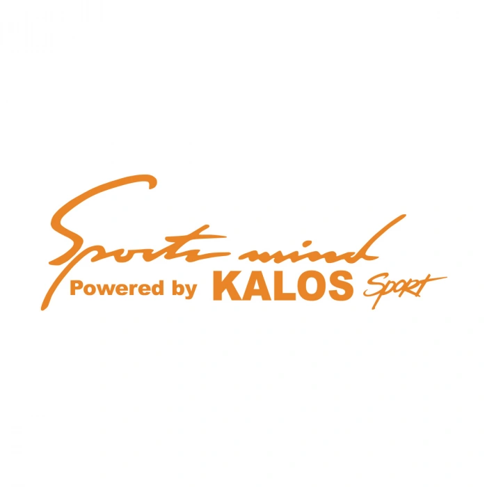 Sports Mind CHEVROLET KALOS Sports Sticker 17x17 Cm Turuncu