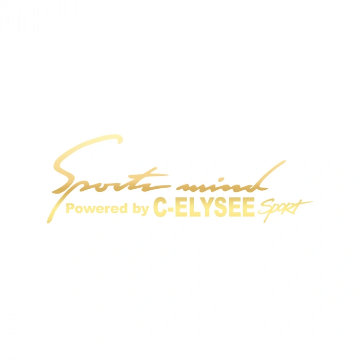 Sports Mind CITROEN C-ELYSE ESports Sticker 17x17 Cm Gold