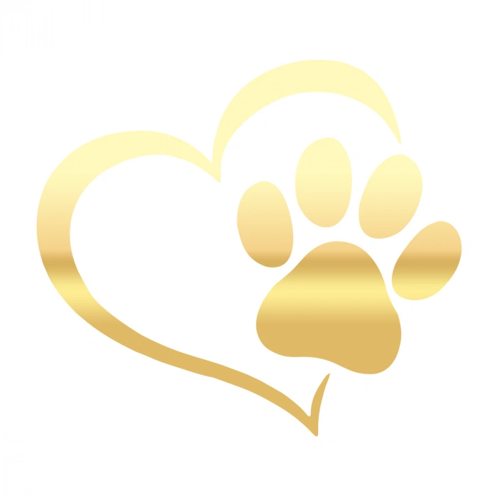 Kalpli Pati Sticker  17x17 Cm Gold