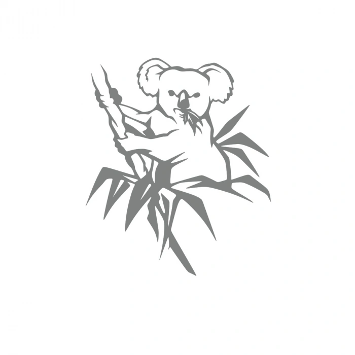 Koala Sticker 17x17 Cm Gri