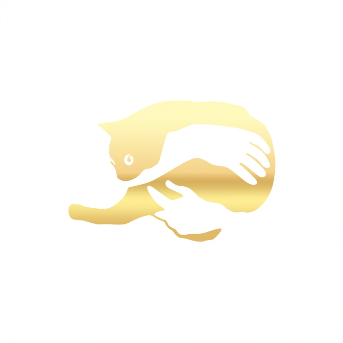 Kedi Seven El sticker 17x17 Cm Gold