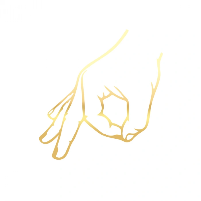 Gotcha Araba Stickeri 17x17 Cm Gold