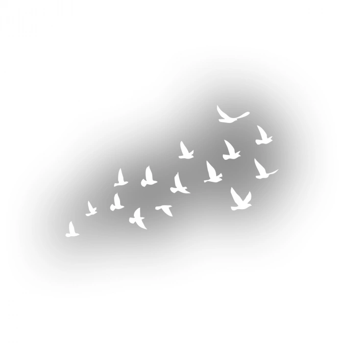 Kuşlar Araba Sticker 17x17 Cm Beyaz