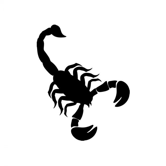 Akrep Araba Sticker 17x17 Cm Siyah