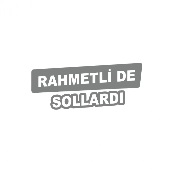 Rametli de Sollardı Araba Sticker 17x17 Cm Gri