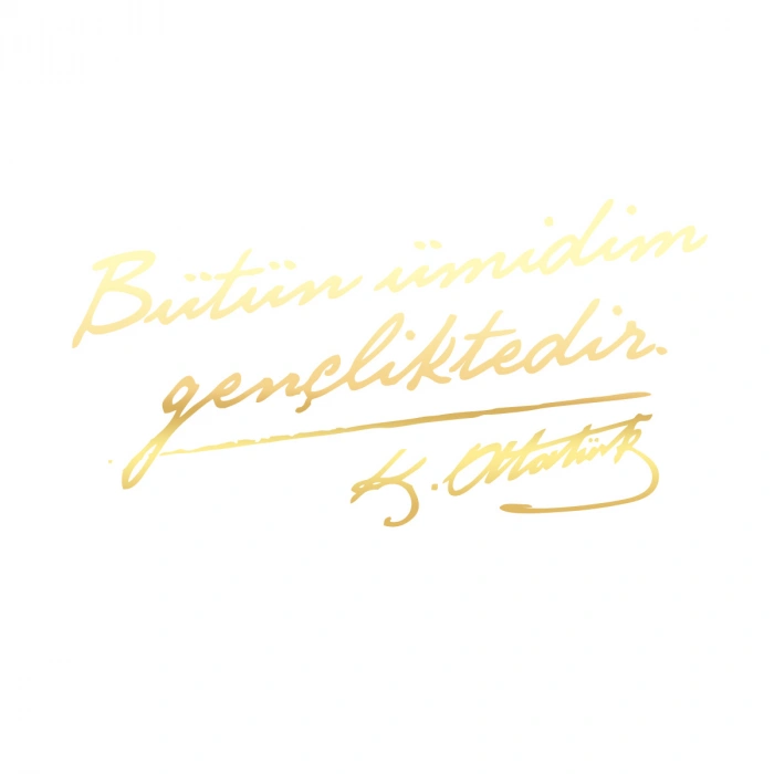 Bütün Ümidim Gençliktedir Araba Sticker 17x17 Cm Gold
