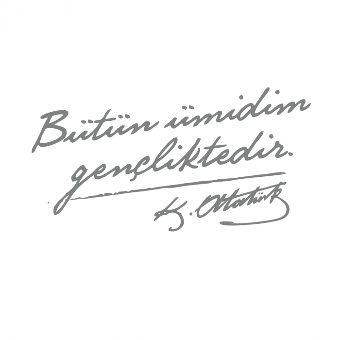 Bütün Ümidim Gençliktedir Araba Sticker 17x17 Cm Gri
