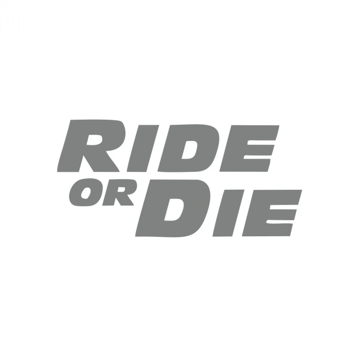 Ride Or Die Araba Stickeri 17x17 Cm Gri