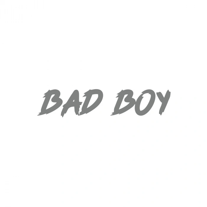 Bad Boy Araba Sticker 17x17 Cm Gri