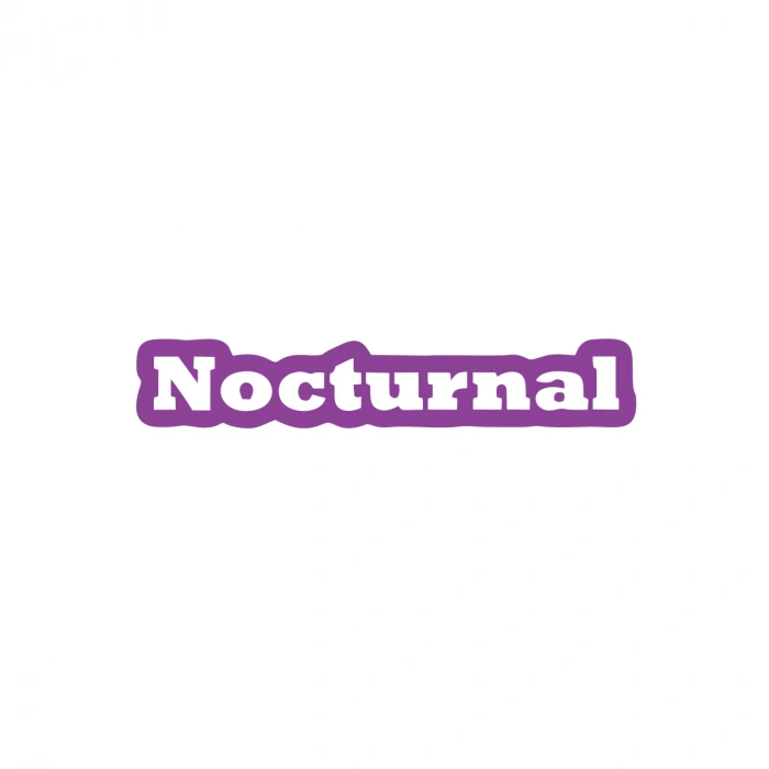 Nocturnal Araba Sticker 17x17 Cm Mor