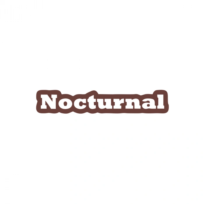 Nocturnal Araba Sticker 17x17 Cm Kahverengi