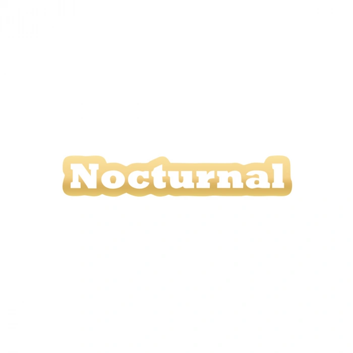 Nocturnal Araba Sticker 17x17 Cm Gold
