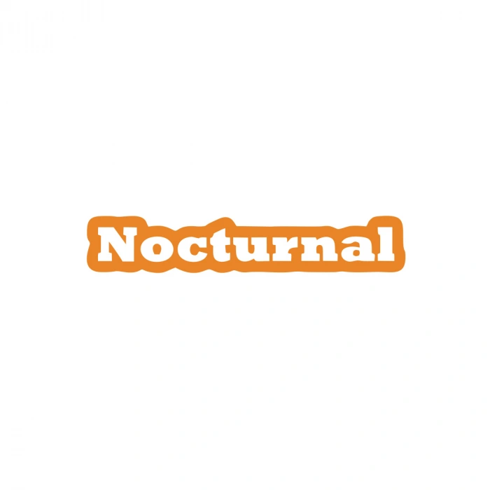 Nocturnal Araba Sticker 17x17 Cm Turuncu