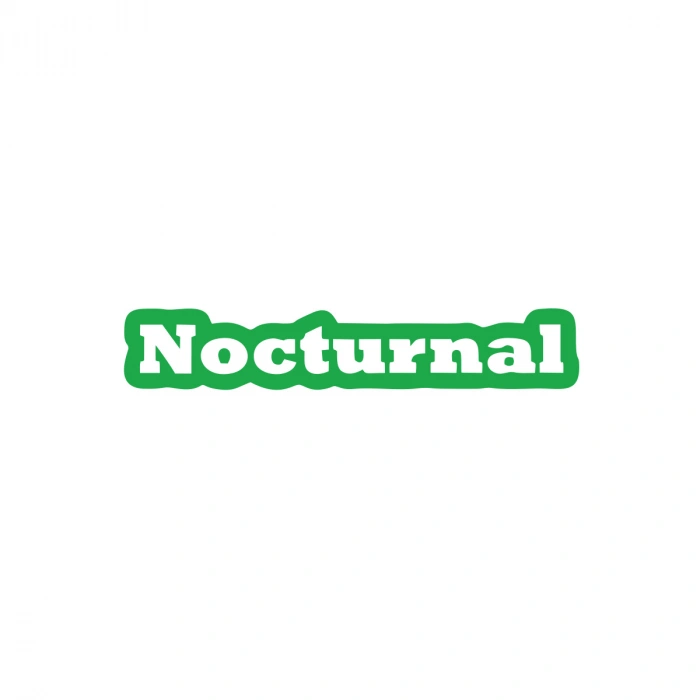Nocturnal Araba Sticker 17x17 Cm Yeşil