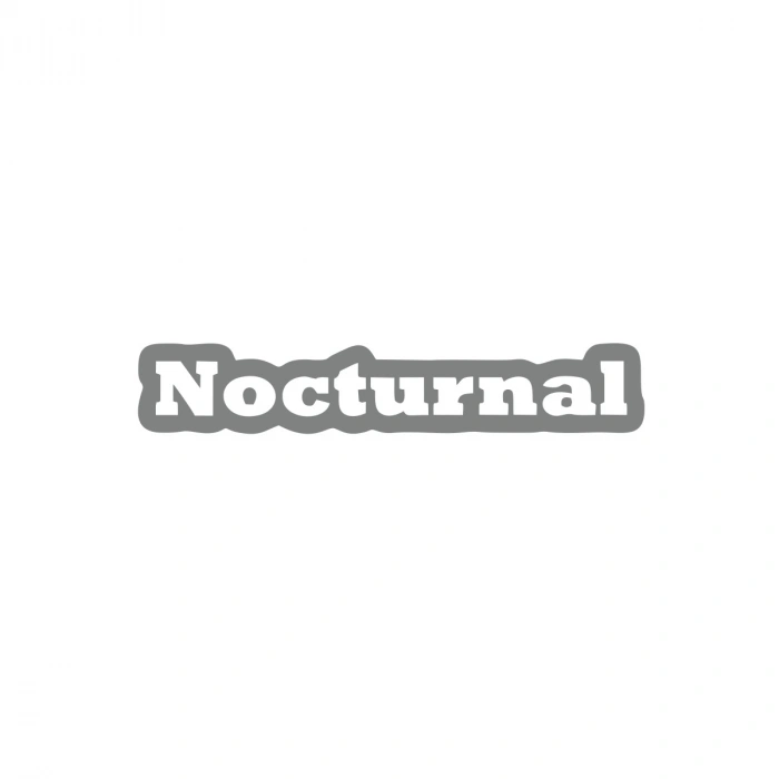 Nocturnal Araba Sticker 17x17 Cm Gri