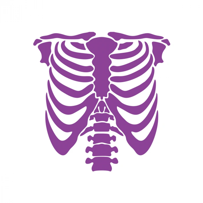 İskelet Araba Sticker 17x17 Cm Mor