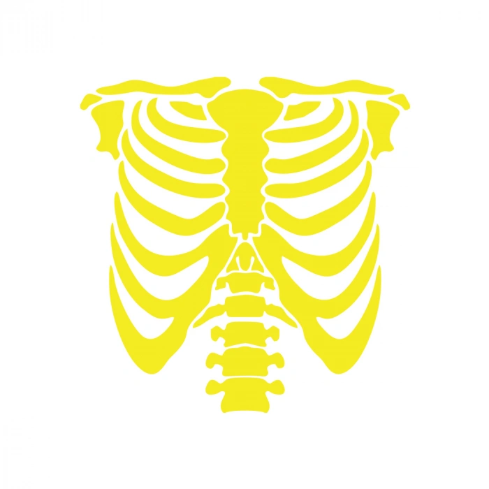 İskelet Araba Sticker 17x17 Cm Sarı