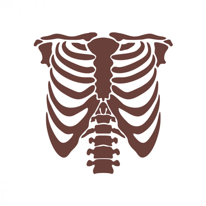 İskelet Araba Sticker 17x17 Cm Kahverengi